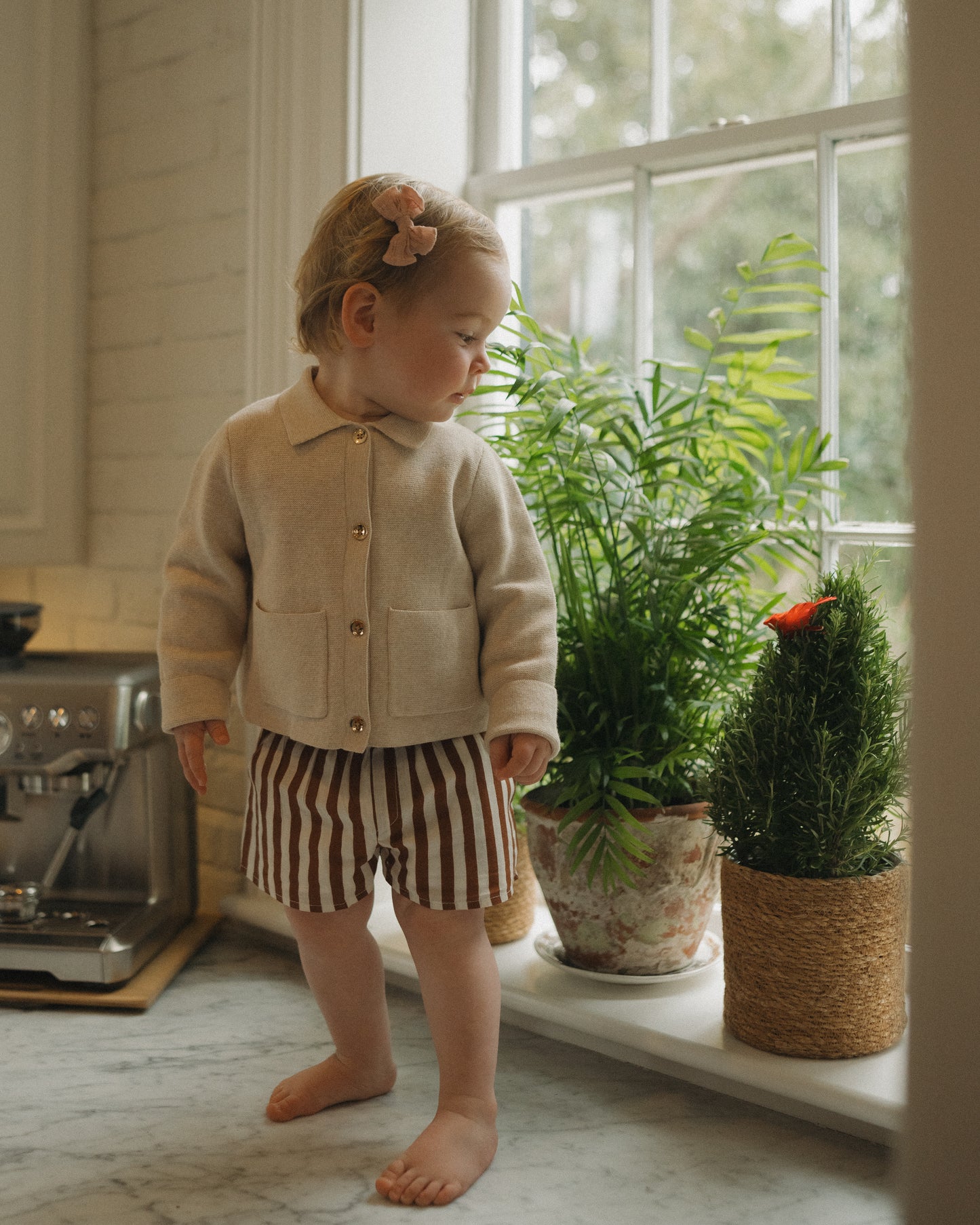 Unisex Chocolate Brown Striped Kids Shorts