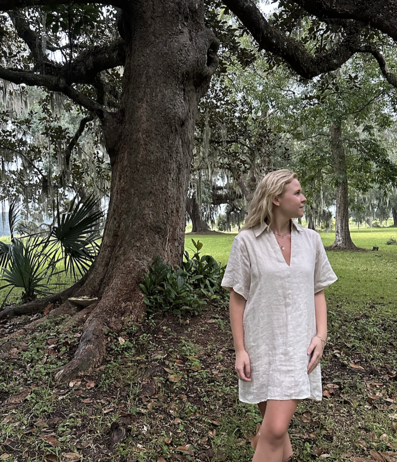 Anna Linen Mini Dress